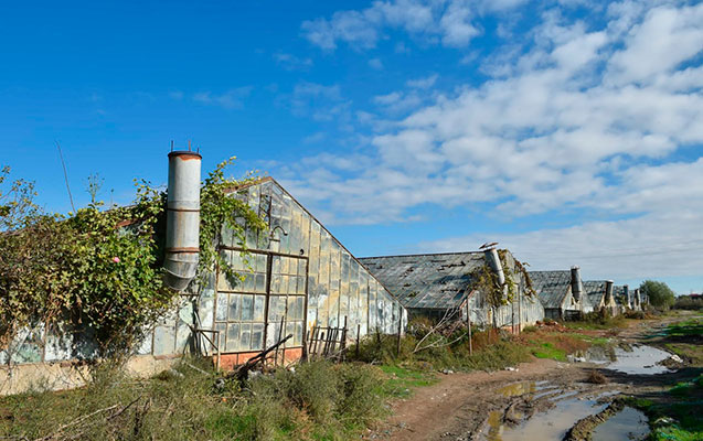 Sudan qanunsuz istifadə halları aşkarlandı - FOTOLAR