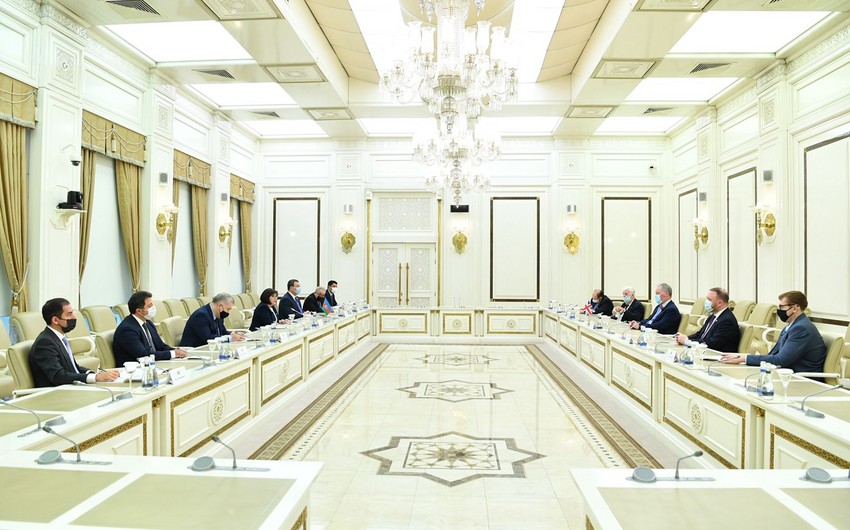 Сахиба Гафарова встретилась с главой межпарламентской группы дружбы Великобритания-Азербайджан