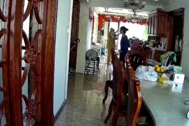 Быстрая реакция бабушки спасла ребенка от серьезной травмы - ВИДЕО