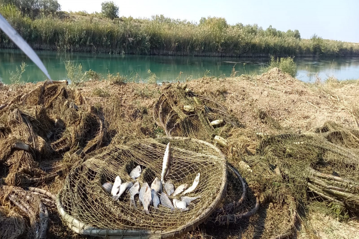 Mingəçevir su anbarında qanunsuz balıq ovu aşkarlanıb