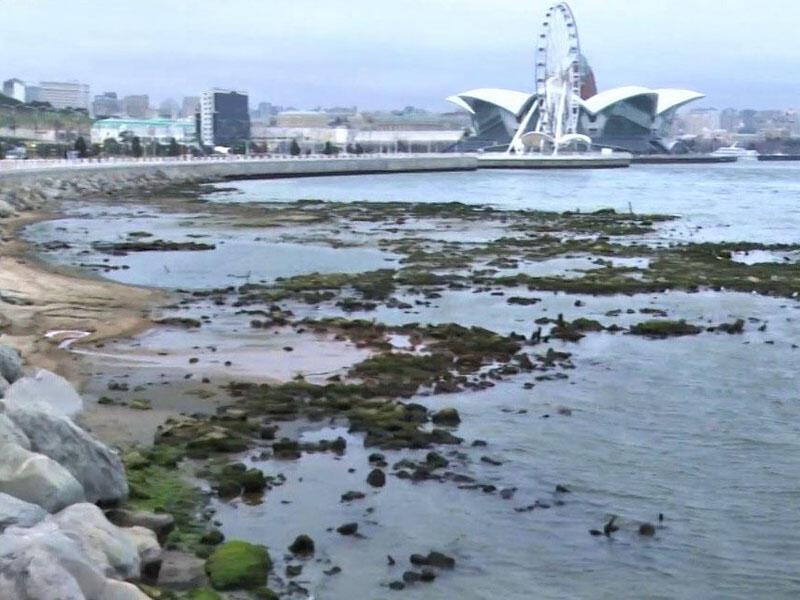 Xəzərin suyu niyə azalır? - Nazirlikdən açıqlama