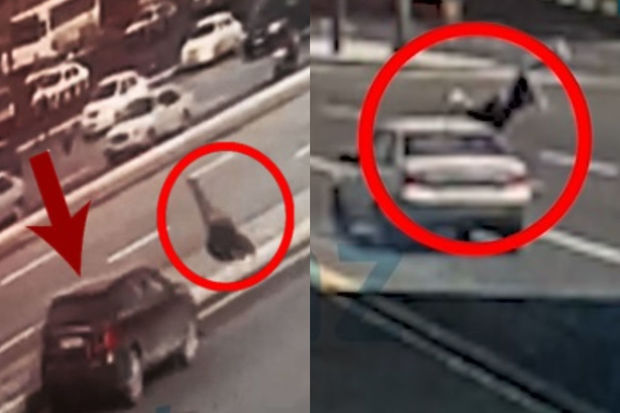 Bakıda 6 piyadanı maşın vurdu - ANBAAN VİDEO