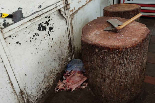 Antisanitar vəziyyətdə fəaliyyət göstərən ət kəsimi məntəqələri aşkarlandı - FOTO