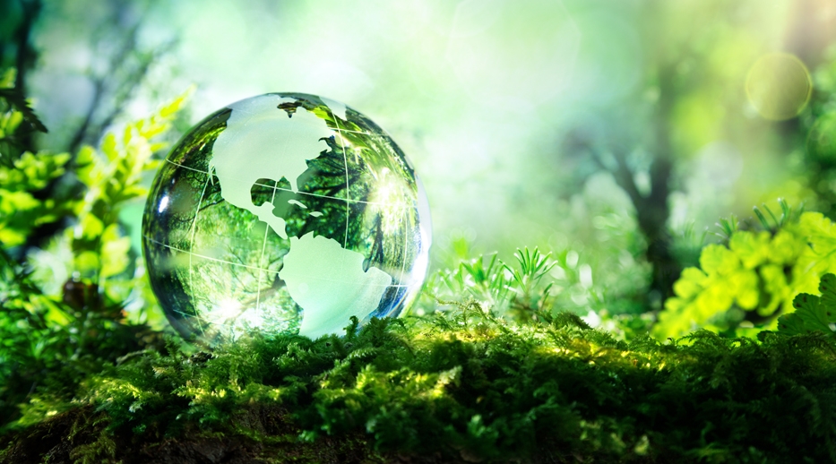 Ölkəmiz də ciddi ekoloji problemlərlə qarşı-qarşıyadır və bu problemlərin həlli üzrə təcili tədbirlər görülməlidir - TƏHLİL