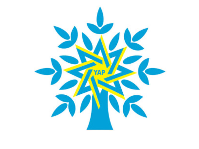 Yeni Azərbaycan Partiyası üzvlərinin sayı açıqlanıb