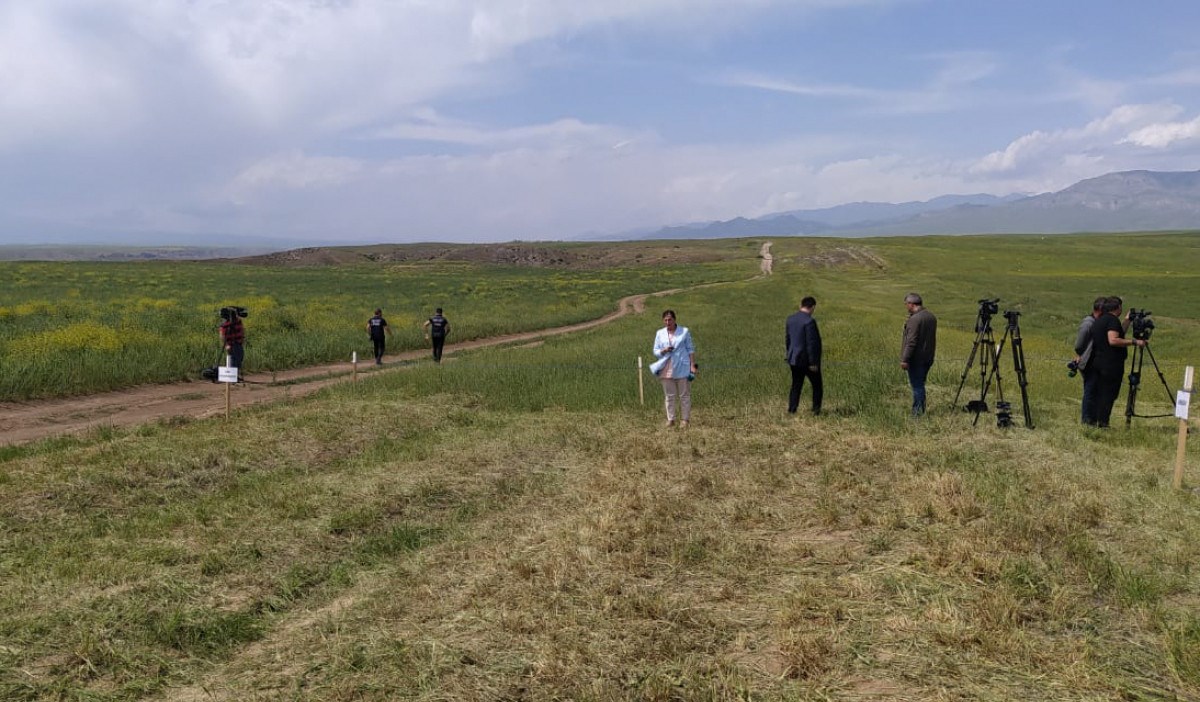 ANAMA-nın əməkdaşı minaya düşüb