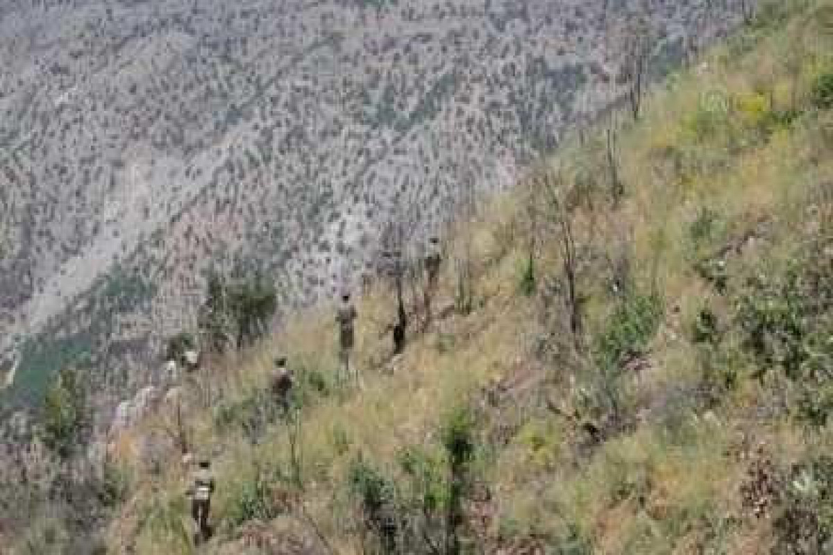 Türkiyə ordusu “Pəncə” əməliyyatlarında 831 terrorçunu məhv edib