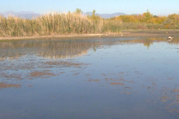 Ermənilər işğal zamanı Həkəri çayının məcrasını dəyişərək üç kəndin ərazisini bataqlığa çevirib - FOTO