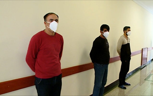 Göygöldə it döyüşdürənlər həbs olundu