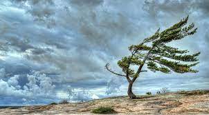 Nazirlik hava şəraitinin dəyişəcəyi ilə bağlı daha bir xəbərdarlıq yayıb