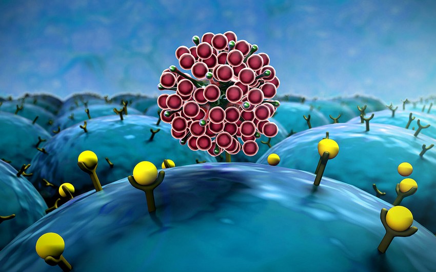 Malaziyada “Omikron” ştamına ilk yoluxma qeydə alınıb