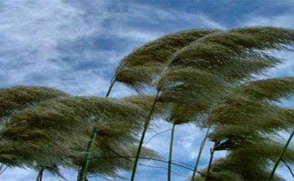 Sabah hava küləkli keçəcək, duman olacaq