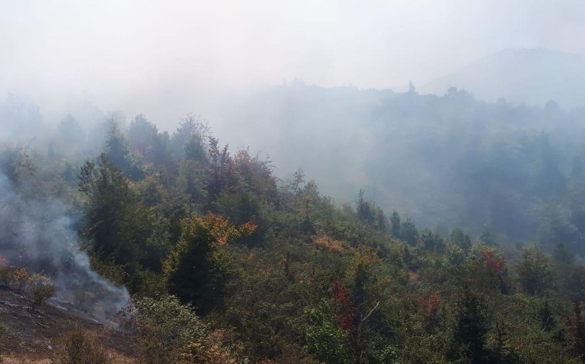 Zaqatalada dağlıq ərazidə yanğın baş verib