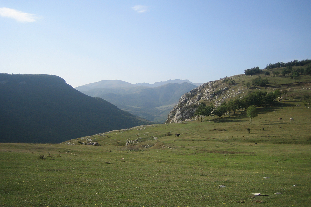 Şuşada at sərgiləri keçiriləcək - QƏRAR