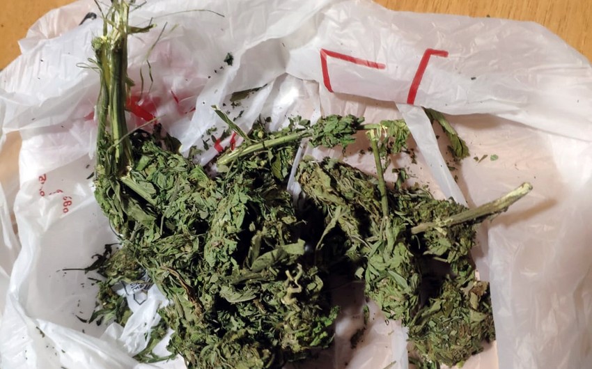 Gürcüstandan ölkəyə narkotik vasitənin keçirilməsinin qarşısı alınıb