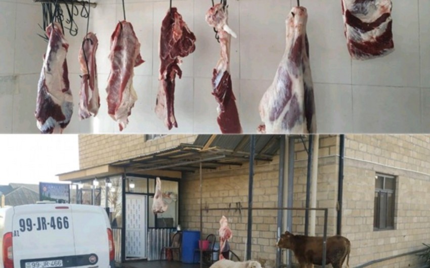 Şəmkirdə qanunsuz heyvan kəsimi məntəqələri aşkarlanıb - FOTO