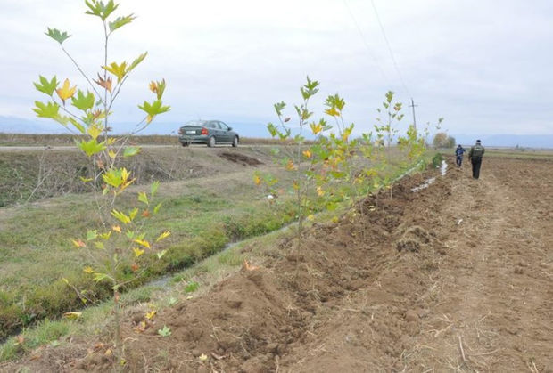Состоялось очередное заседание Рабочей группы по экологическим вопросам на освобожденных землях Азербайджана