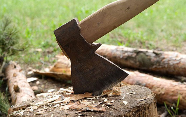 Ağacları kəsən şəxs cəzalandırıldı