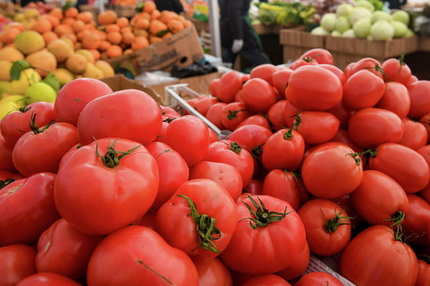 Rusiyada Azərbaycandan ixrac olunan pomidorların keyfiyyətindən danışıldı