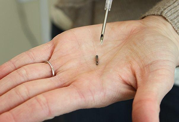 İsveçdə COVID-pasportları çip şəklində vətəndaşlara yeridilməsinə başlanılıb