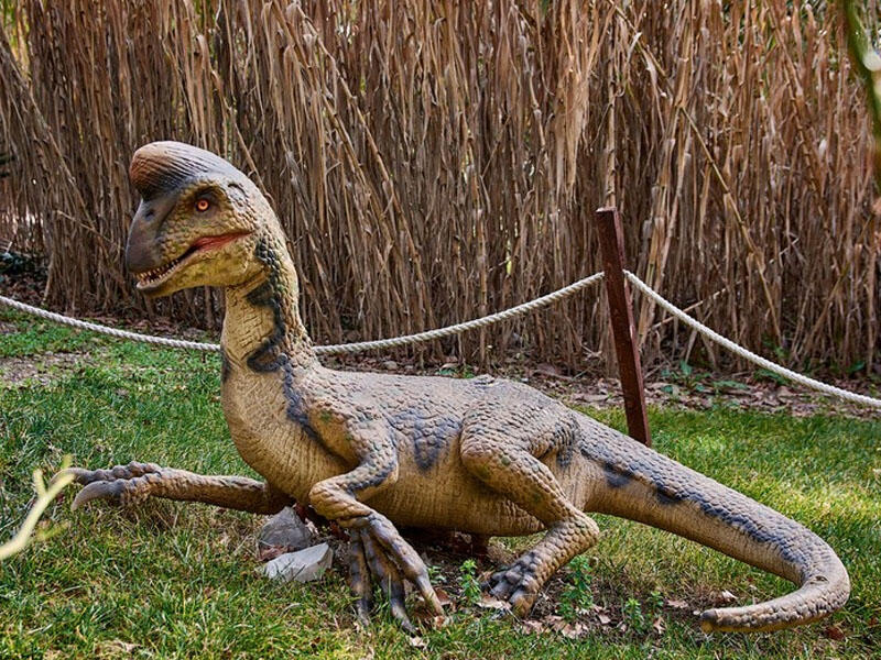 Çində dinozavra aid yumurta tapılıb