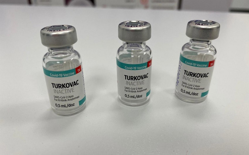Türkiyənin yerli vaksini olan TURKOVAC-ın tətbiqinə icazə verilib