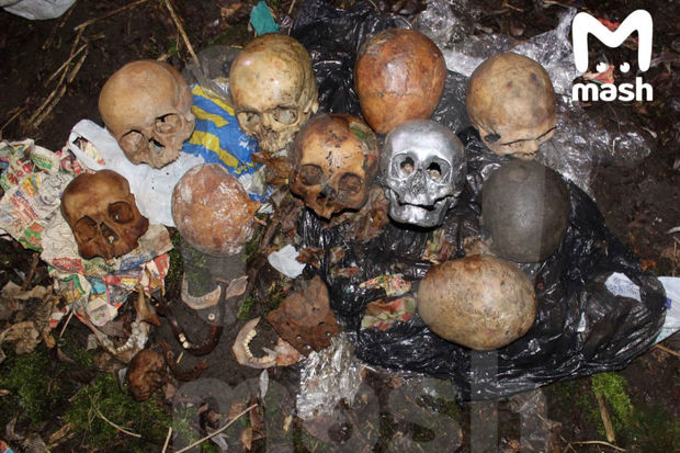 Balıq tutmağa gedən kişilər göl kənarında 10 ədəd kəllə sümüyü tapdı - FOTO