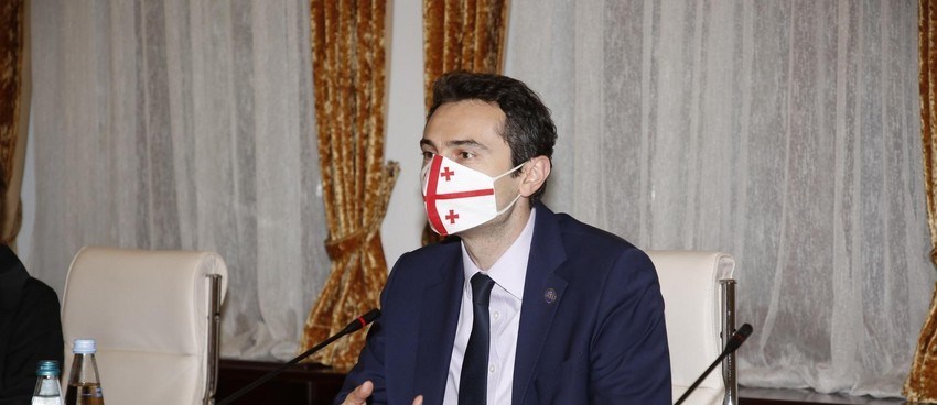 Gürcüstan parlamentinin sədri istefa verib