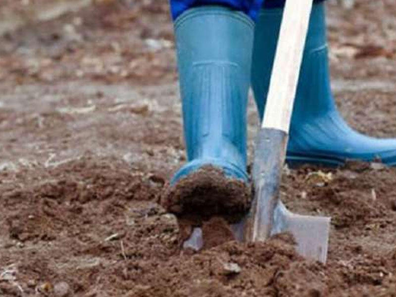 Kilsənin həyətini qazdı, heyrətə gəldi - Torpağın bir neçə santimetr altında... - FOTO