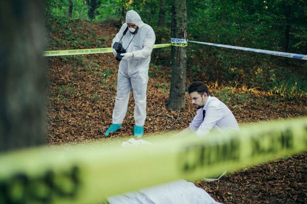 Çobana “Qardaşın arvadı yüngül həyat tərzi keçirir” deyən ferma sahibi qətlə yetirildi – MƏHKƏMƏ