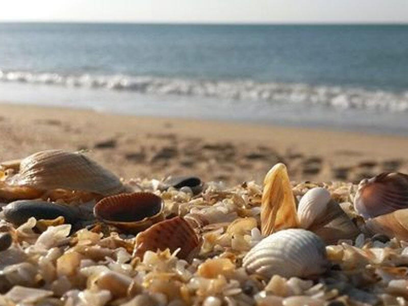 Xəzər dənizi ilə bağlı həyəcan təbili: belə gedərsə... - VİDEO