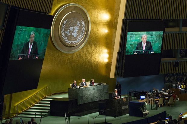 Azərbaycan BMT Baş Assambleyasının peyvənd bərabərliyi qətnaməsini dəstəkləyib - FOTO