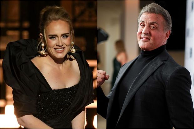 Adel Silvestr Stallonenin malikanəsini endirimlə aldı - FOTO