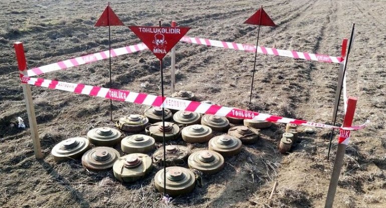 Tərtər, Ağdam, Füzuli, Şuşa, Qubadlı, Cəbrayıl və Zəngilanda 16 piyada əleyhinə mina aşkarlanıb - RƏSMİ