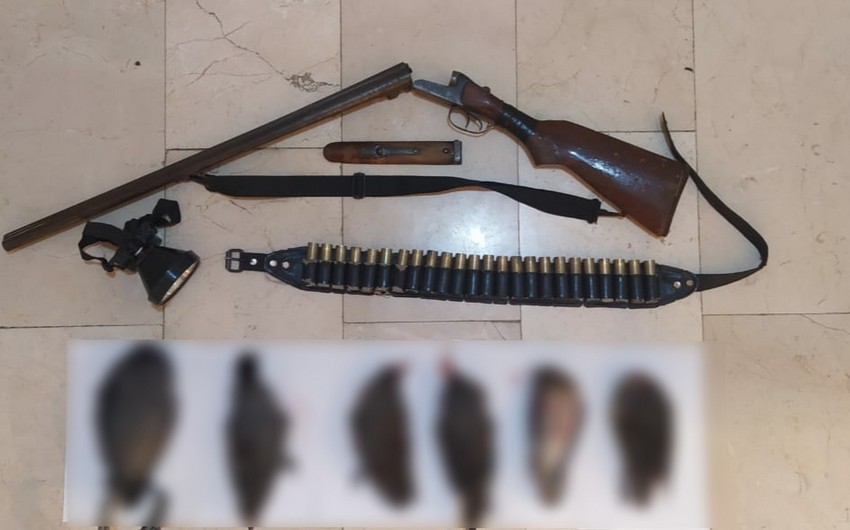 Masallıda qanunsuz ov edən şəxs saxlanılıb