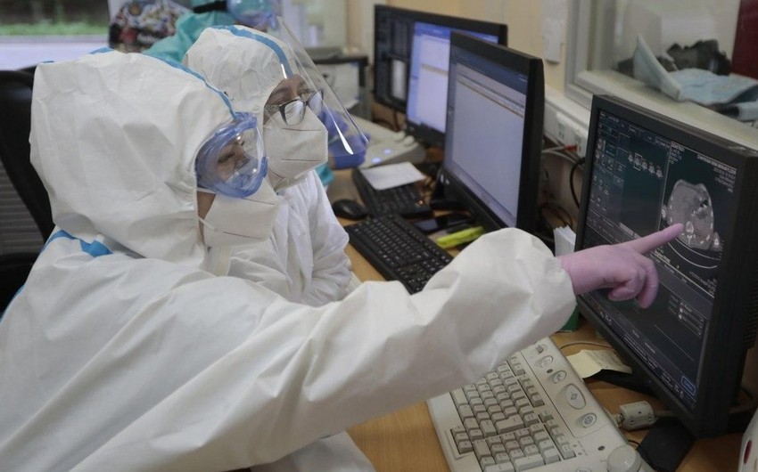 Çexiyada yeni ştamla ilk yoluxma halı aşkarlanıb