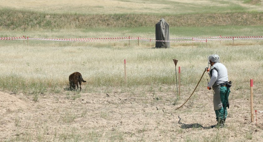 ANAMA daha 30 minaaxtaran it alacaq