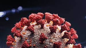 Ekspert: “Omikron”la bağlı gərginlik üç ay davam edəcək