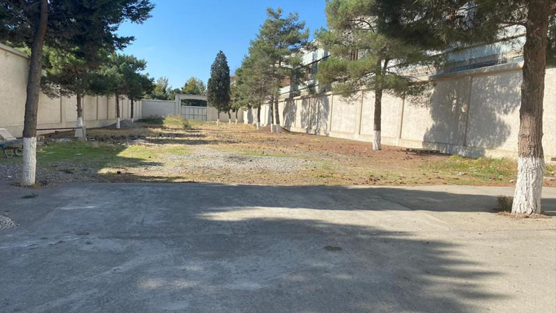 Eks deputat ağacları kəsdirdi, İDEA nəzarətə götürdü (FOTOLAR)