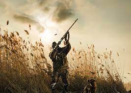 Ötən il qanunsuz ov etdiyinə görə cərimələnən şəxslərin sayı açıqlanıb