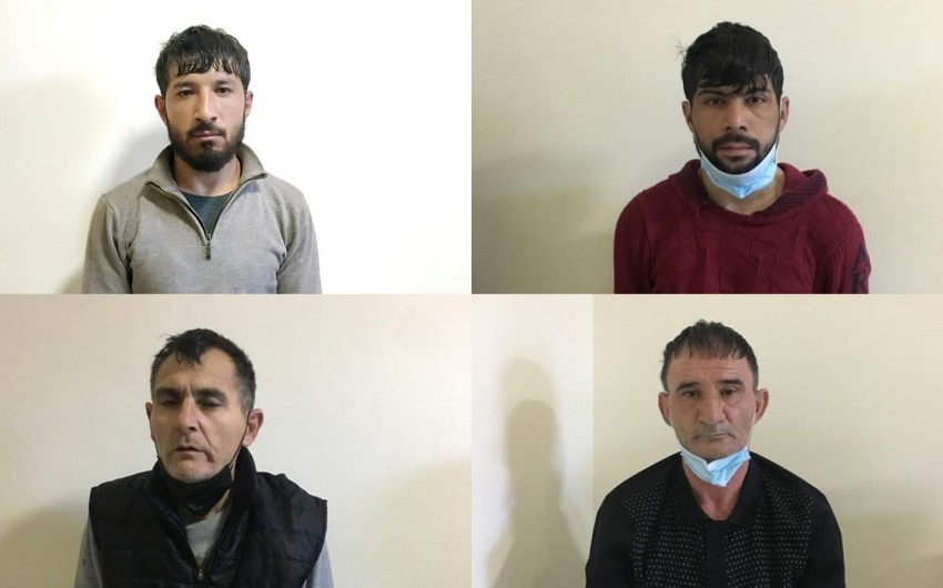 Cəlilabadda narkotiklərin qanunsuz dövriyyəsi ilə məşğul olan şəxslər saxlanılıb