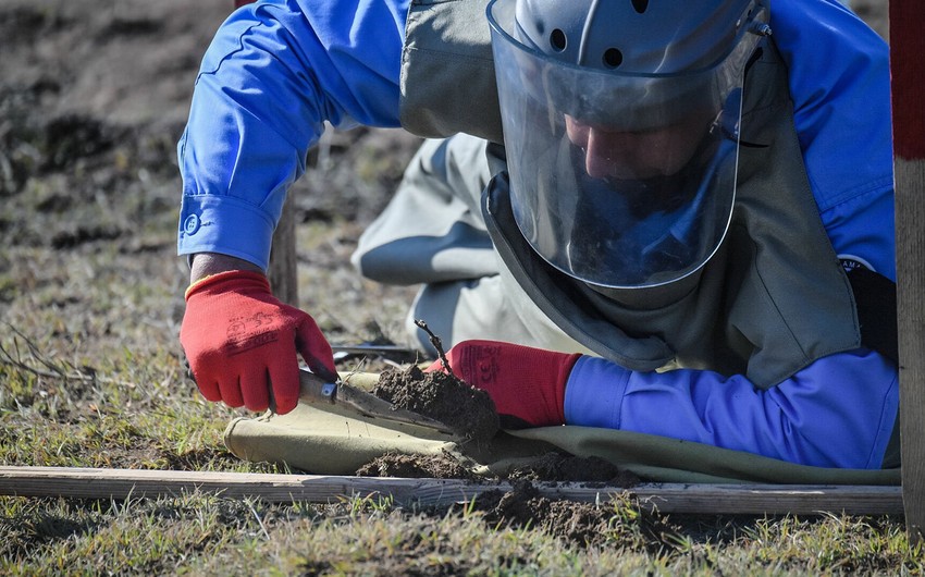 Azad edilən ərazilərdə daha 15 mina aşkarlanıb
