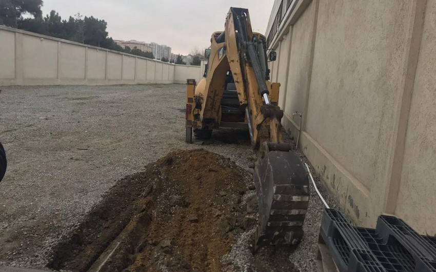 Sabiq deputatın Bakıda ağacları qanunsuz kəsdirməsi ilə bağlı cinayət işi açılıb