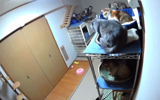 В Японии произошло мощное землетрясение - ВИДЕО