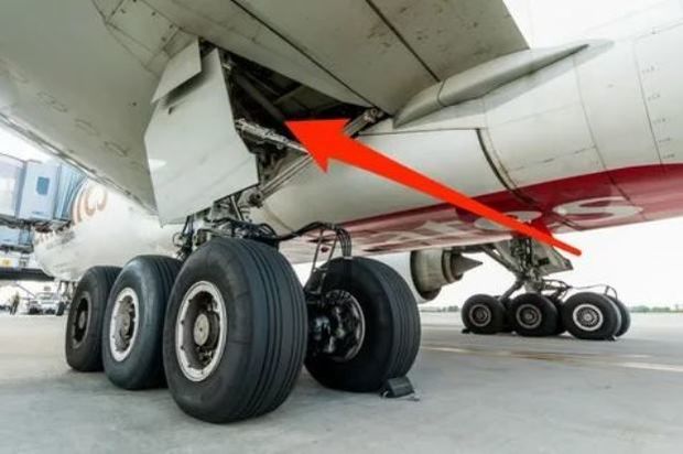 Amsterdamda təyyarənin şassisində qanunsuz miqrant aşkar edilib