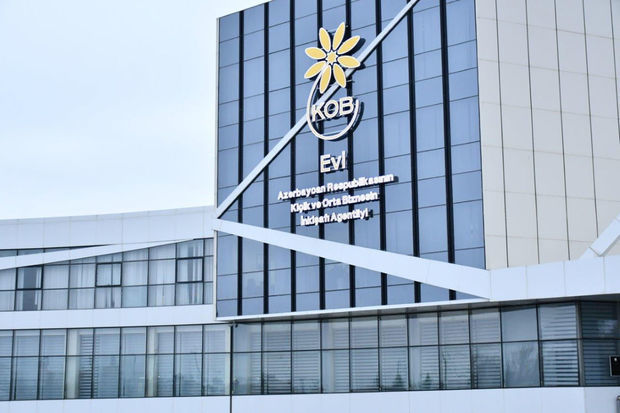 Председатель KOBİA: В скором времени планируется открытие Дома МСБ в Гяндже