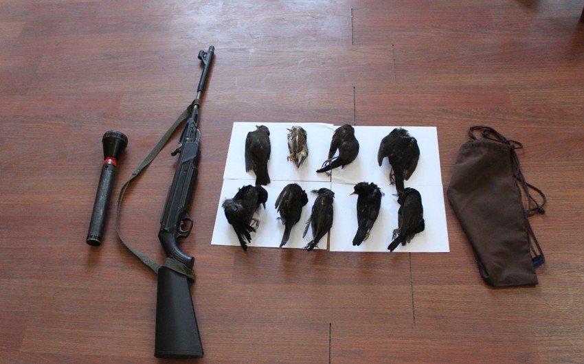 Balakəndə qanunsuz ov edən qonşular saxlanılıb