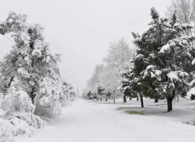 Azərbaycanda bu tarixdən hava kəskin dəyişəcək - Qar yağacaq