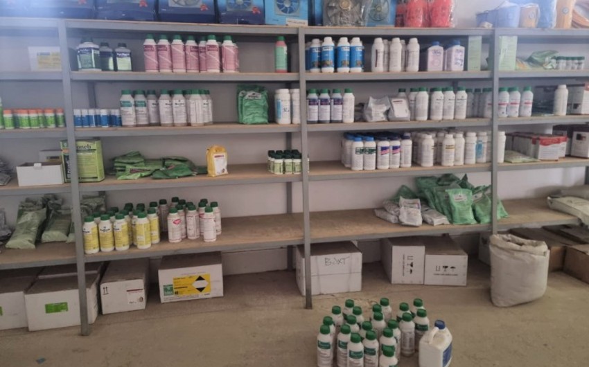Tovuzda bitki mühafizə vasitələrinin satış məntəqəsində nöqsanlar aşkarlanıb
