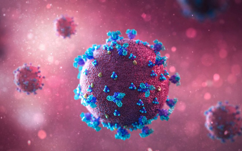 Səhiyyə Nazirliyi: 